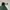 Gorpcore Track jacket Pria green photo 5