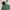Gorpcore Track jacket Pria green photo 4