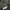 Gorpcore Track jacket Pria green photo 7