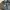 Casual Trench coat Pria brown photo 7