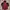 Jack Wolfskin Gorpcore Bomber jacket Pria red photo 1