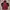 Jack Wolfskin Gorpcore Bomber Jacket Pria Red