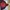 Jack Wolfskin Gorpcore Bomber jacket Pria red photo 4
