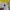 The North Face Gorpcore Sportswear Track jacket Pria white yellow photo 8