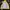 The North Face Gorpcore Sportswear Track jacket Pria white yellow photo 3