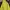 The North Face Gorpcore Sportswear Track jacket Pria white yellow photo 5