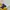 Polo Ralph Lauren Streetwear Polo Shirt Pria Navy Yellow