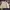 Lyle & Scott Vintage Casual Harrington jacket Pria cream photo 3
