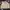 Lyle & Scott Vintage Casual Harrington jacket Pria cream photo 1
