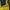 Sportswear Jersey Pria black yellow photo 5