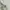 GAP Streetwear Minimalist Hoody Pria white photo 3