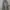 Obey Streetwear Skater Hoody Pria gray photo 1