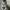 Billabong Casual Short Pria multicolor photo 3