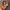 Reebok Sportswear Hat Pria orange photo 6