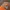 Reebok Sportswear Hat Pria orange photo 4