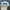 Vintage Hat Pria white photo 6