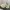 New Balance Streetwear Sportswear Sneakers Wanita Cream