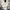 Y2K Sweater Wanita white photo 1
