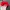 Vintage Hat Pria red photo 6