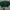 Casual Crop top Wanita green photo 1