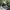 Nike Streetwear Sportswear Sneakers Pria white black photo 2