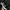 Nike Streetwear Sportswear Sneakers Pria White Black