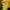 Pancoat Streetwear Y2K Sweater Pria yellow photo 4