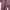 Nike Casual Windbreaker Pria burgundy photo 8