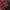 Uniqlo Streetwear Sportswear Casual shirt Pria red photo 7