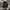 Carhartt Streetwear Casual Bag Pria black photo 5
