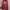 Vintage Streetwear Hoody Pria red photo 1