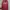 Vintage Streetwear Hoody Pria Red