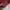 Vintage Streetwear Hoody Pria red photo 3
