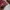 Vintage Streetwear Hoody Pria red photo 4