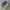 Asics Streetwear Sportswear Sneakers Pria silver photo 1