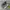 Asics Streetwear Sportswear Sneakers Pria Silver