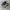 Asics Streetwear Sportswear Sneakers Pria black gray photo 1
