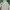 Guess Streetwear Jumper Pria white cream photo 4
