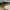 Compass Streetwear Casual Sneakers Pria green black photo 5