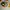 Compass Streetwear Casual Sneakers Pria green black photo 4