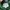 Lacoste Streetwear Hoody Pria green photo 3