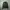 Lacoste Streetwear Hoody Pria Green