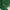 Lacoste Streetwear Hoody Pria green photo 5