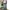 H&M Y2K Emo Jeans Pria multicolor photo 1