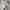 Uniqlo Vintage Y2K Casual pants Pria cream photo 6