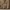 Kipling Streetwear Y2K Bag Pria brown photo 3