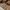Kipling Streetwear Y2K Bag Pria brown photo 4