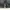 Armani	 Biker Leather jacket Pria black photo 4
