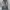 Japanese brand Y2K Emo Jeans Pria multicolor photo 1