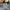 Japanese brand Y2K Skater Jeans Pria multicolor photo 5